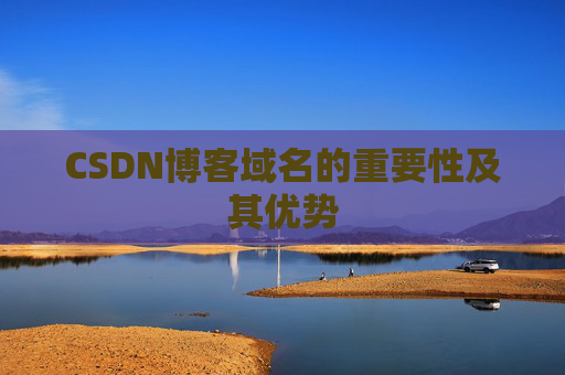CSDN博客域名的重要性及其优势